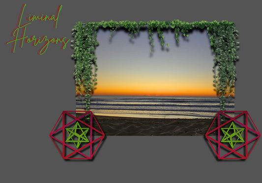 Pre Dawn Veins Long Sleeve - LIMINAL HORIZONS - Geometry From The Sun