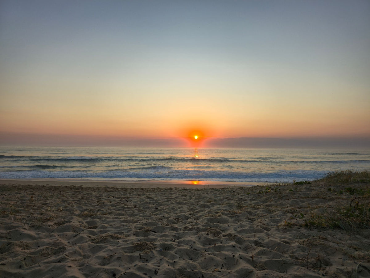Mudjimba Beach, Sunshine Coast QLD — Day Day 44