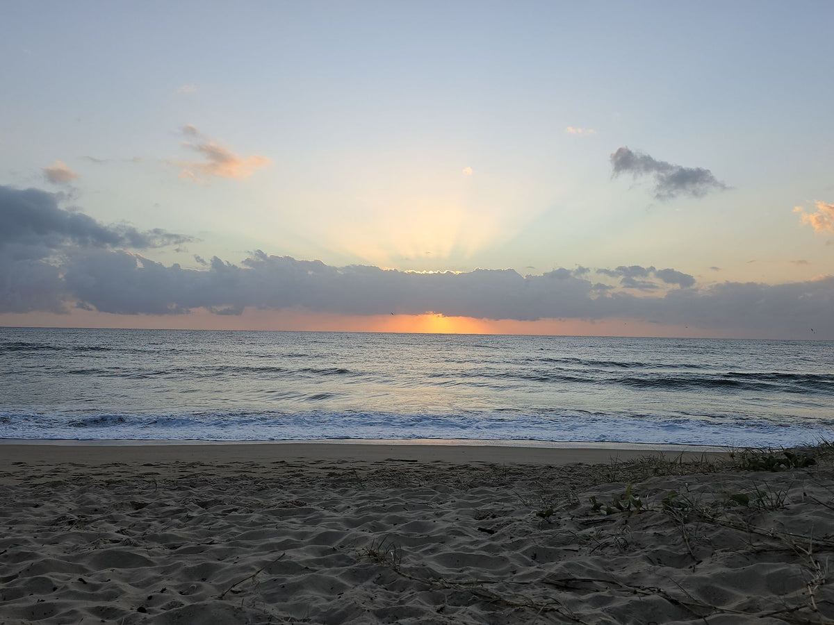 Mudjimba Beach, Sunshine Coast QLD