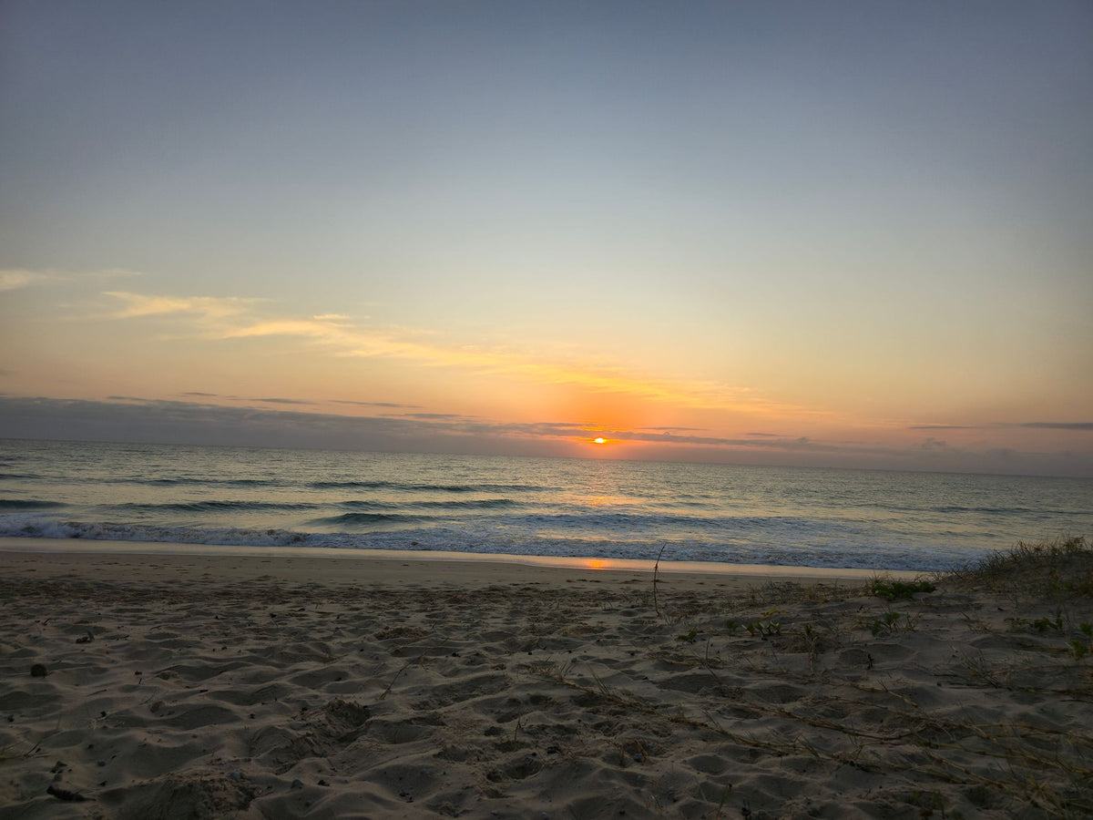 Mudjimba Beach, Sunshine Coast QLD — Day 50