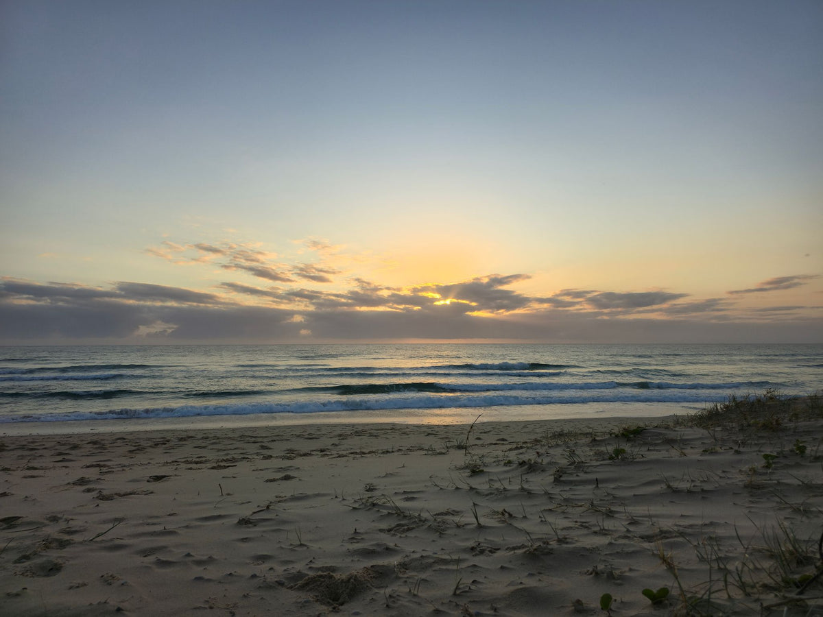Mudjimba Beach, Sunshine Coast QLD — Day 52