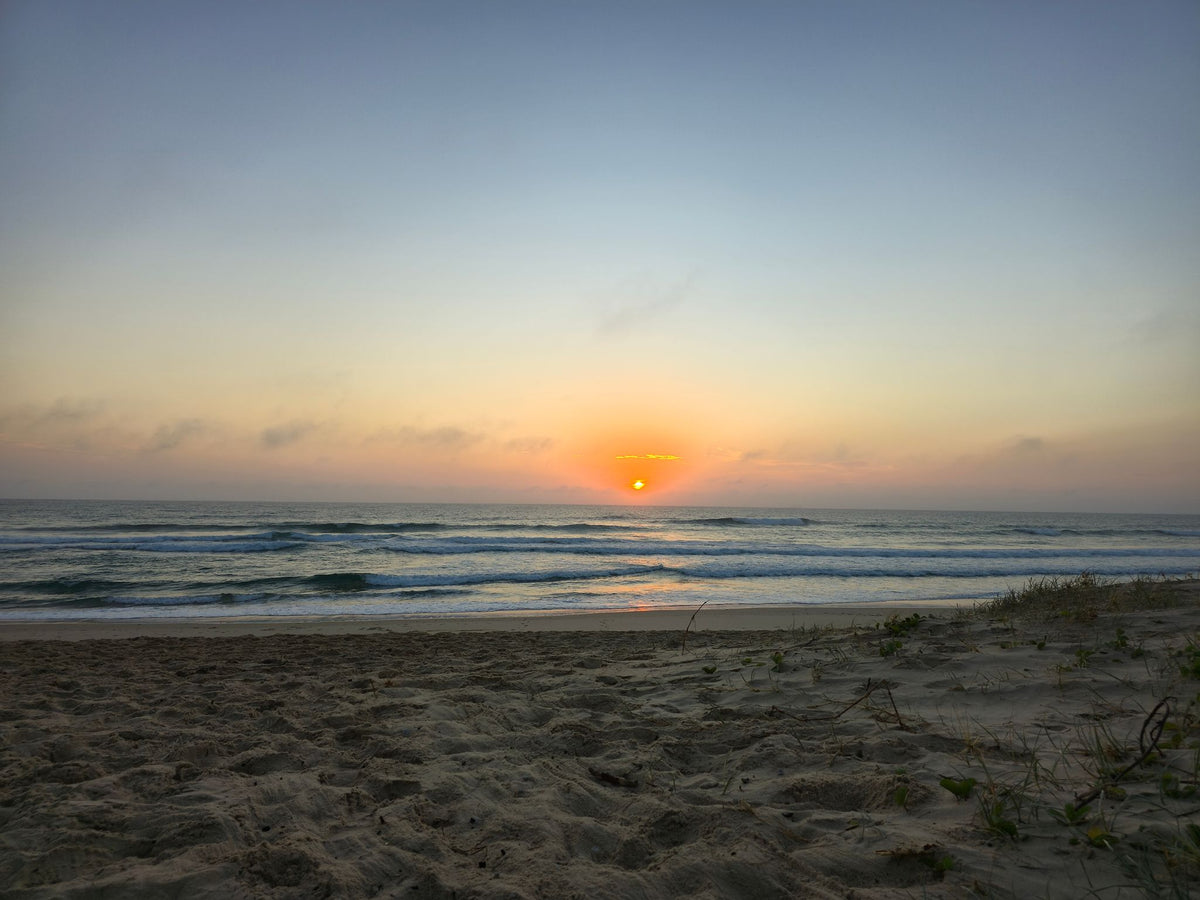Mudjimba Beach, Sunshine Coast QLD — Day 53