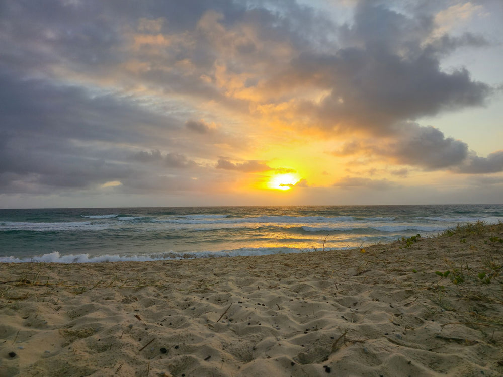 Mudjimba Beach, Sunshine Coast QLD