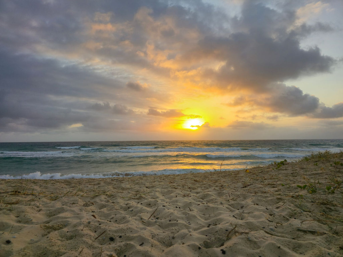 Mudjimba Beach, Sunshine Coast QLD — Day 56