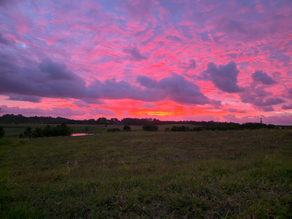 Bli Bli, Sunshine Coast QLD 