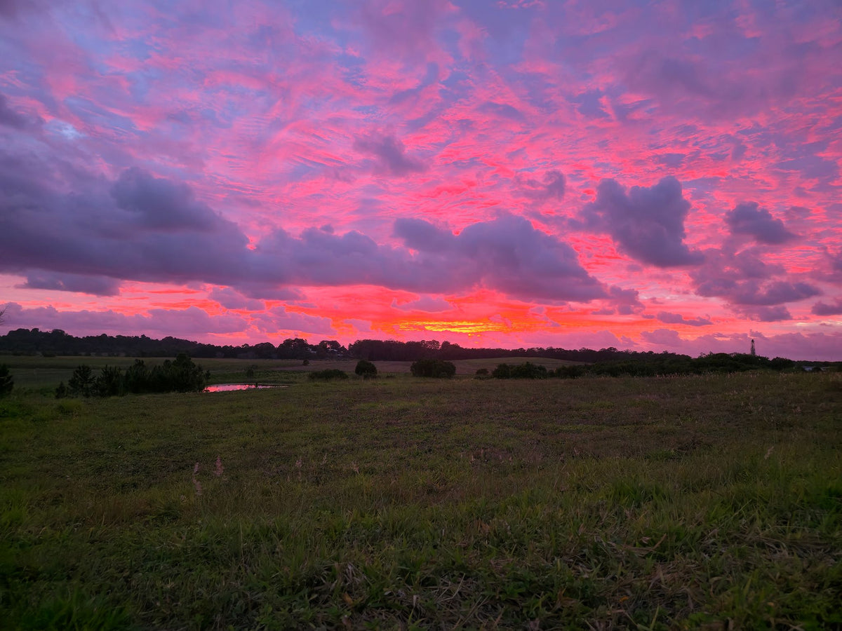 Bli Bli, Sunshine Coast QLD 