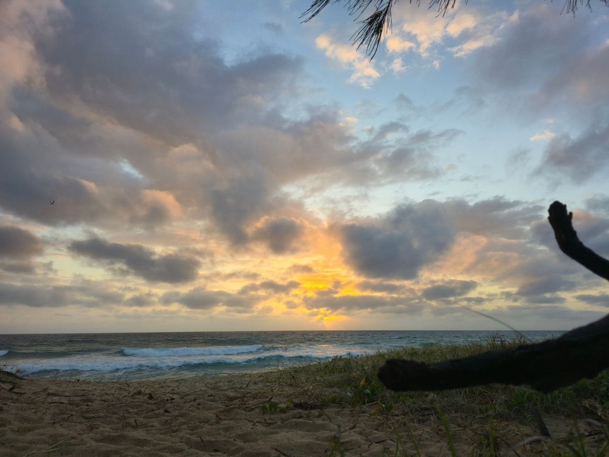 Mudjimba Beach, Sunshine Coast QLD — Day 61