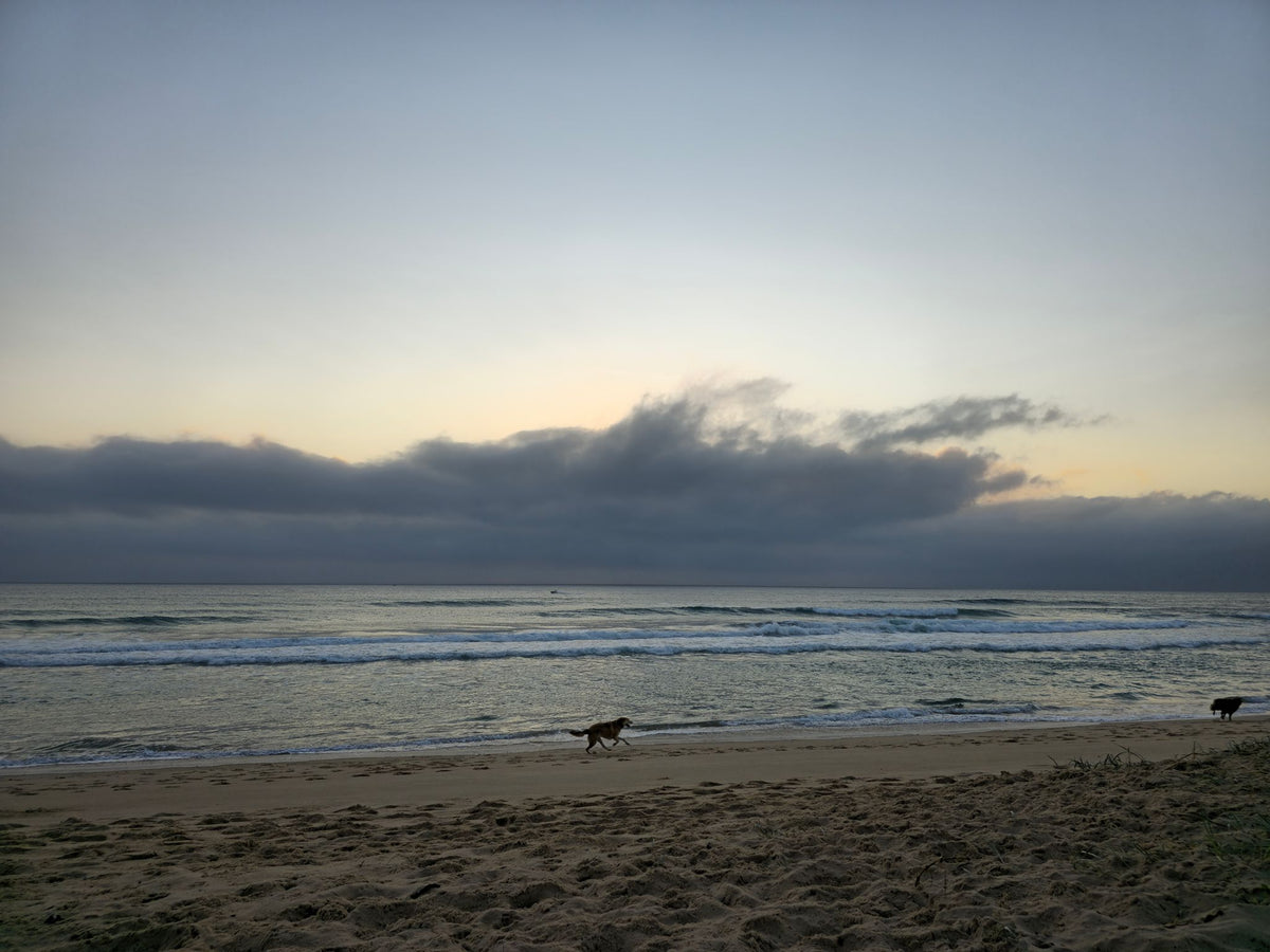 Mudjimba Beach, Sunshine Coast QLD