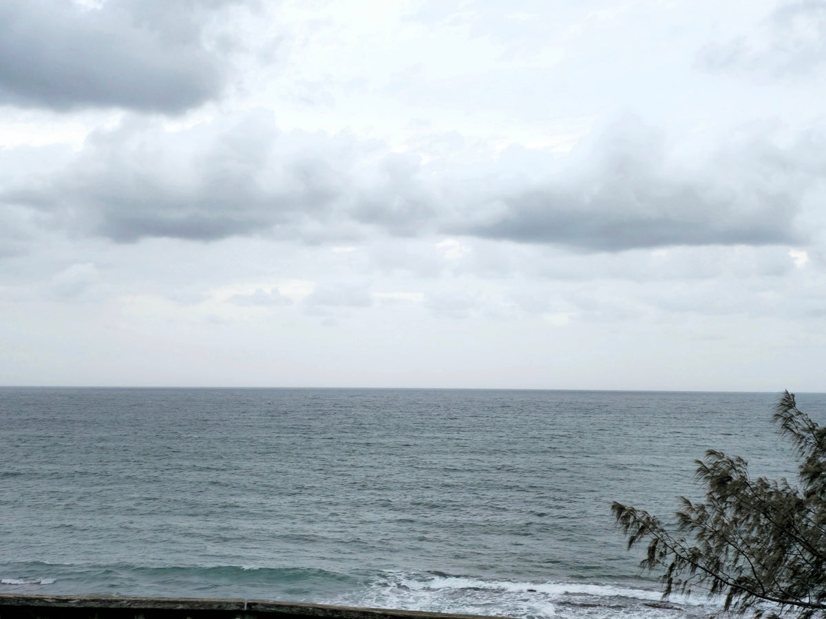 Alex Heads, Sunshine Coast QLD