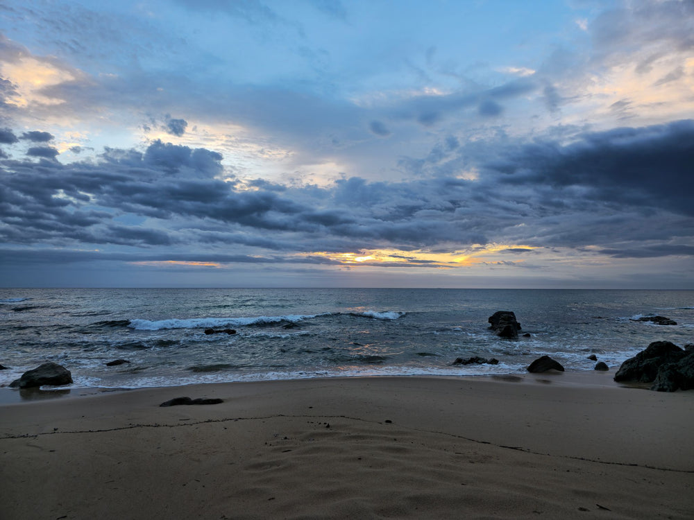 Point Arkwright, Sunshine Coast QLD