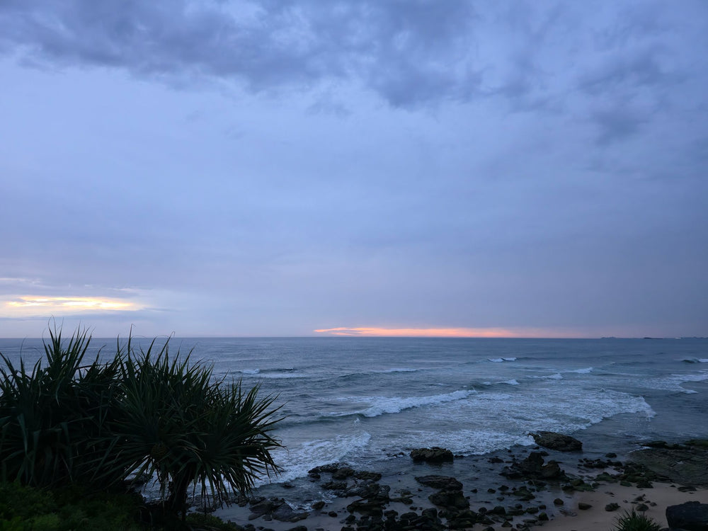 Alex Heads, Sunshine Coast QLD