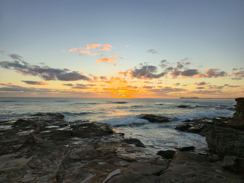 Pincushion Island, Sunshine Coast QLD
