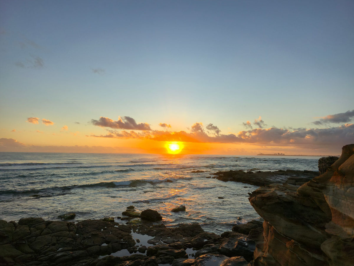 Pincushion Island, Sunshine Coast QLD