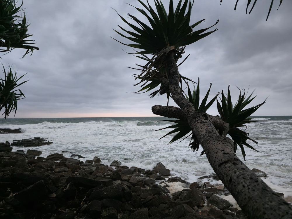 Point Arkwright, Sunshine Coast QLD
