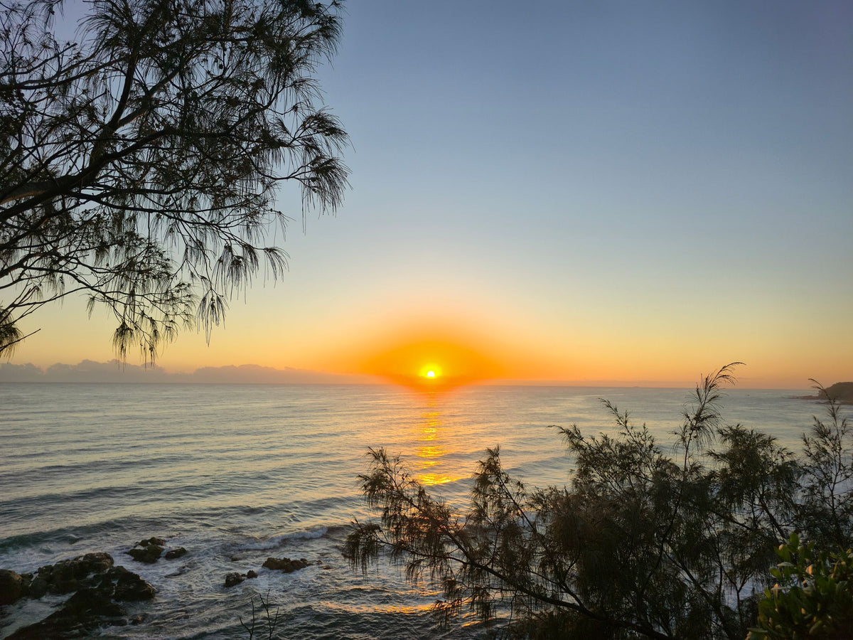 Coolum Beach, Sunshine Coast QLD — Day 124