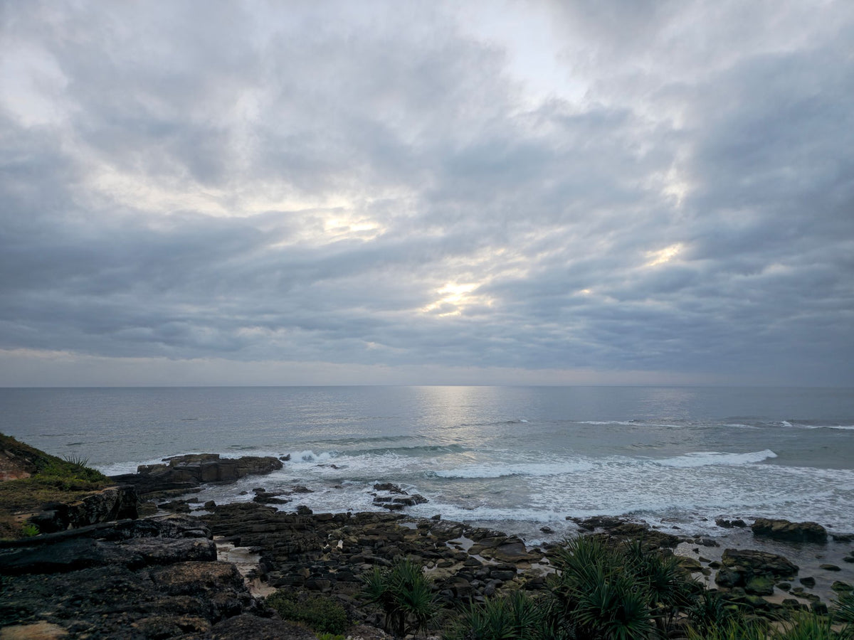 Point Arkwright, Sunshine Coast QLD — Day 126