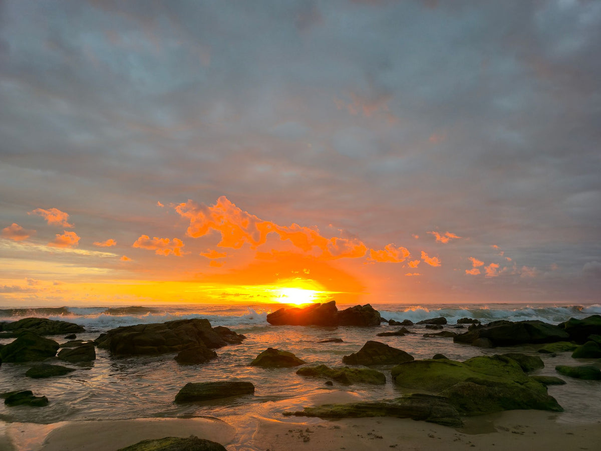 Point Arkwright, Sunshine Coast QLD