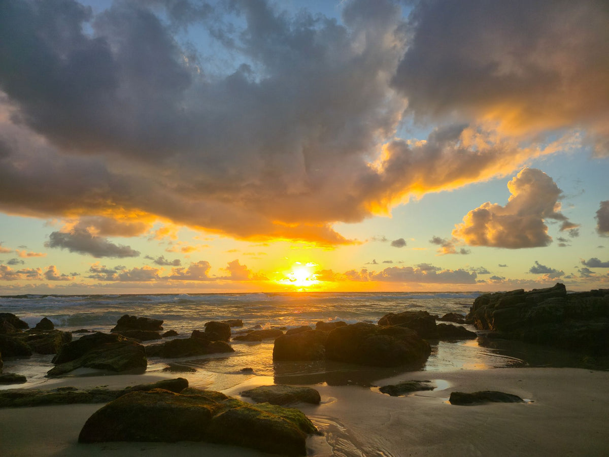 Point Arkwright, Sunshine Coast QLD — Day 141
