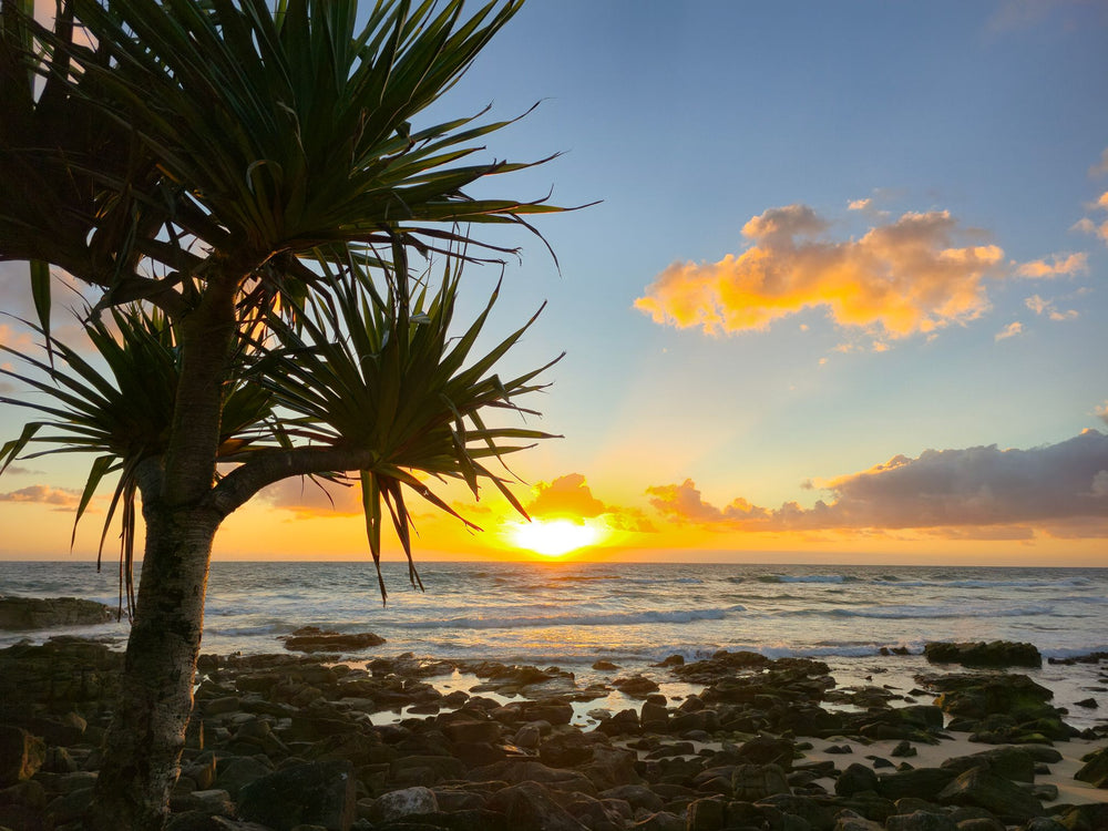 Point Arkwright, Sunshine Coast QLD