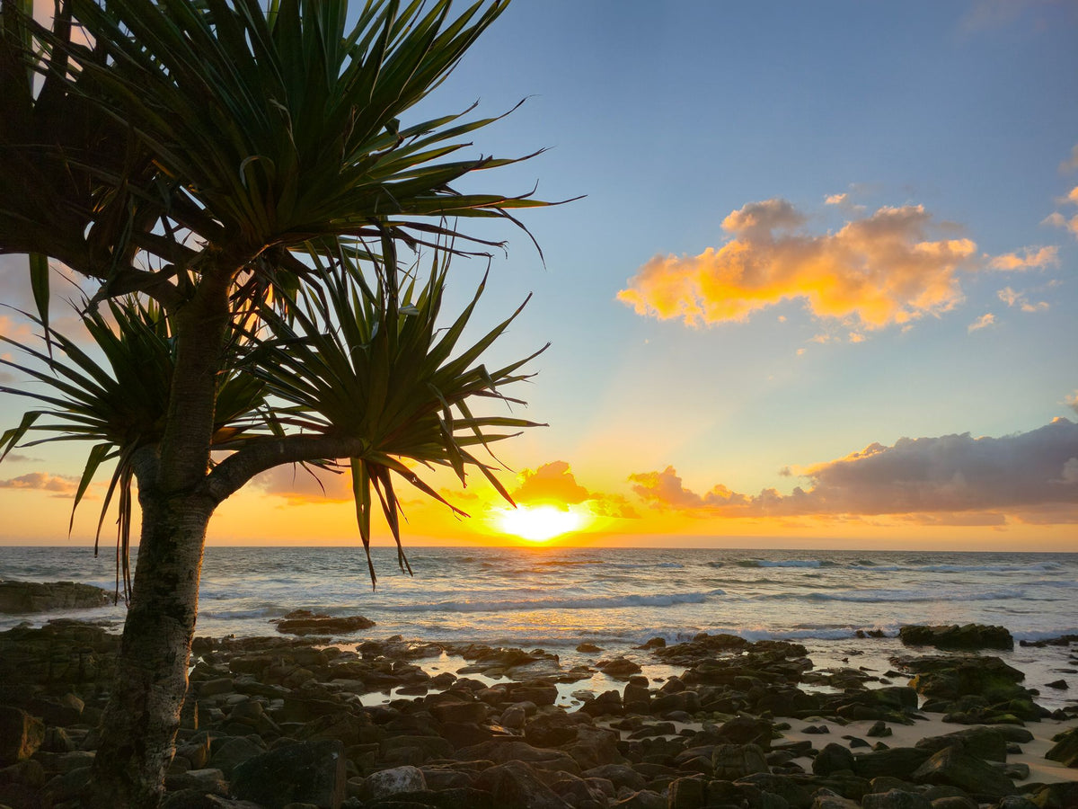 Point Arkwright, Sunshine Coast QLD — Day 143