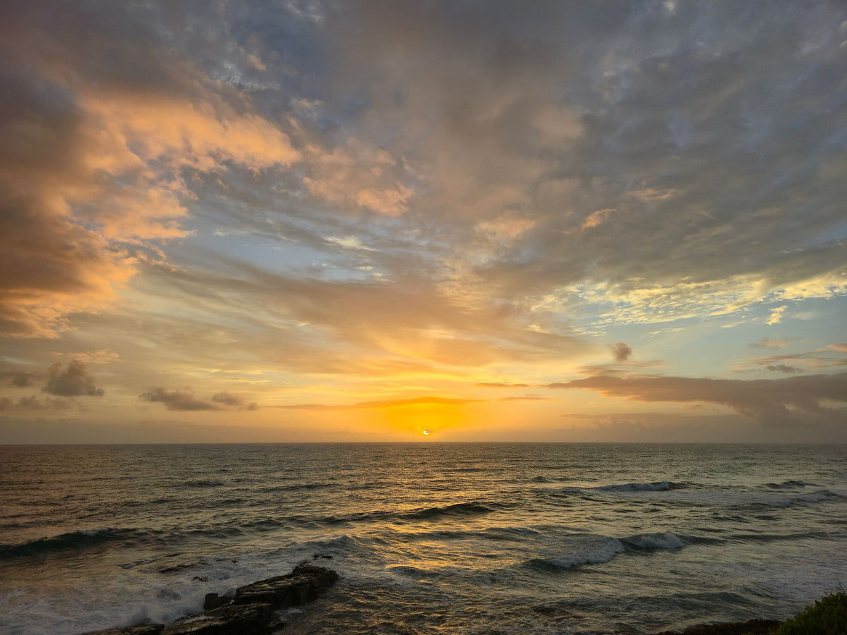 Point Arkwright, Sunshine Coast QLD — Day 145