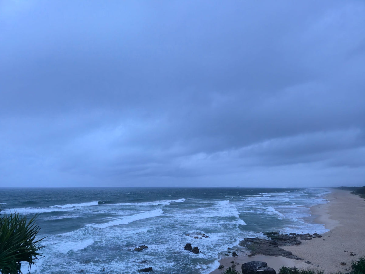 Point Arkwright, Sunshine Coast QLD — Day 146