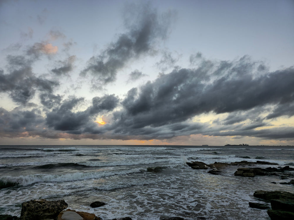 Pincushion Island, Sunshine Coast QLD