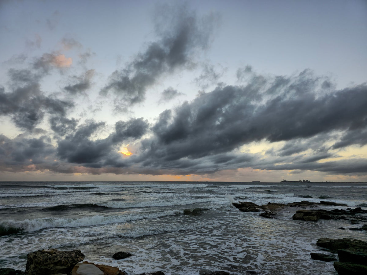 Pincushion Island, Sunshine Coast QLD — Day 154