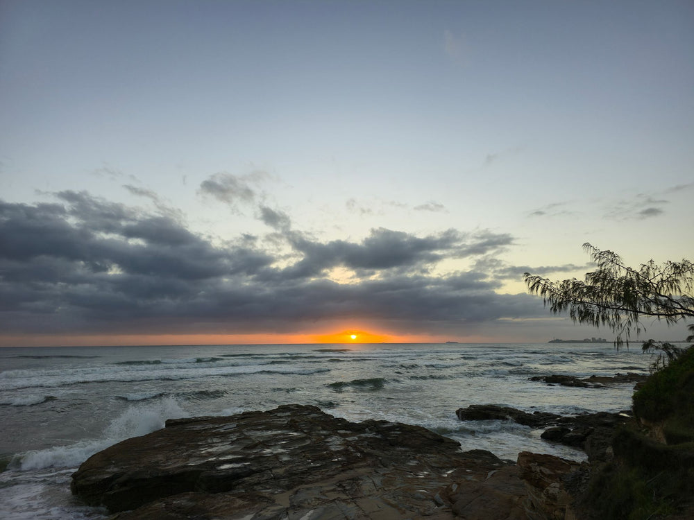 Pincushion Island, Sunshine Coast QLD