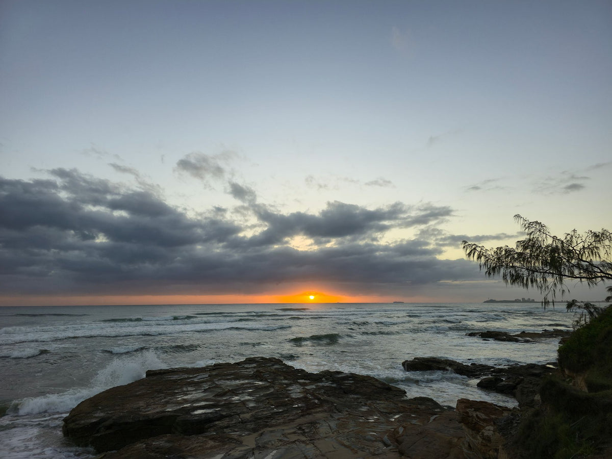 Pincushion Island, Sunshine Coast QLD