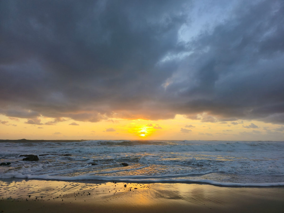 Point Arkwright, Sunshine Coast QLD — Day 165