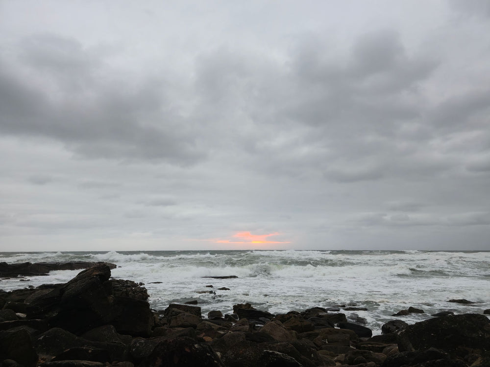 Point Arkwright, Sunshine Coast QLD