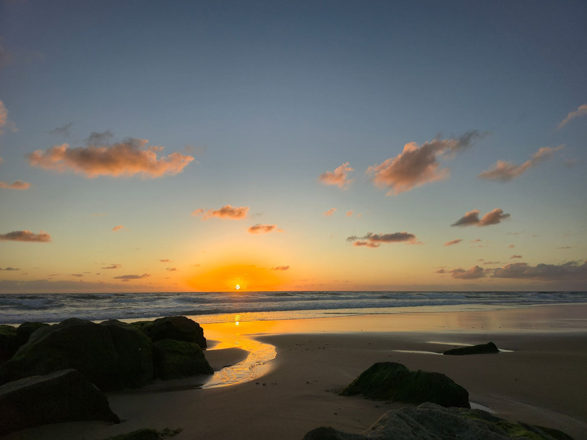 Point Arkwright, Sunshine Coast QLD — Day 171