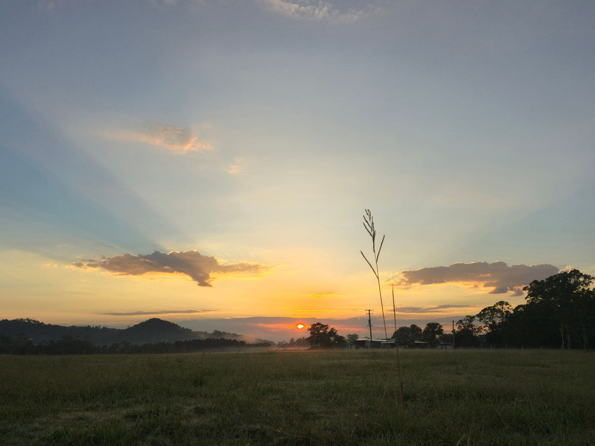 Yandina-Bli Bli Road, Sunshine Coast QLD