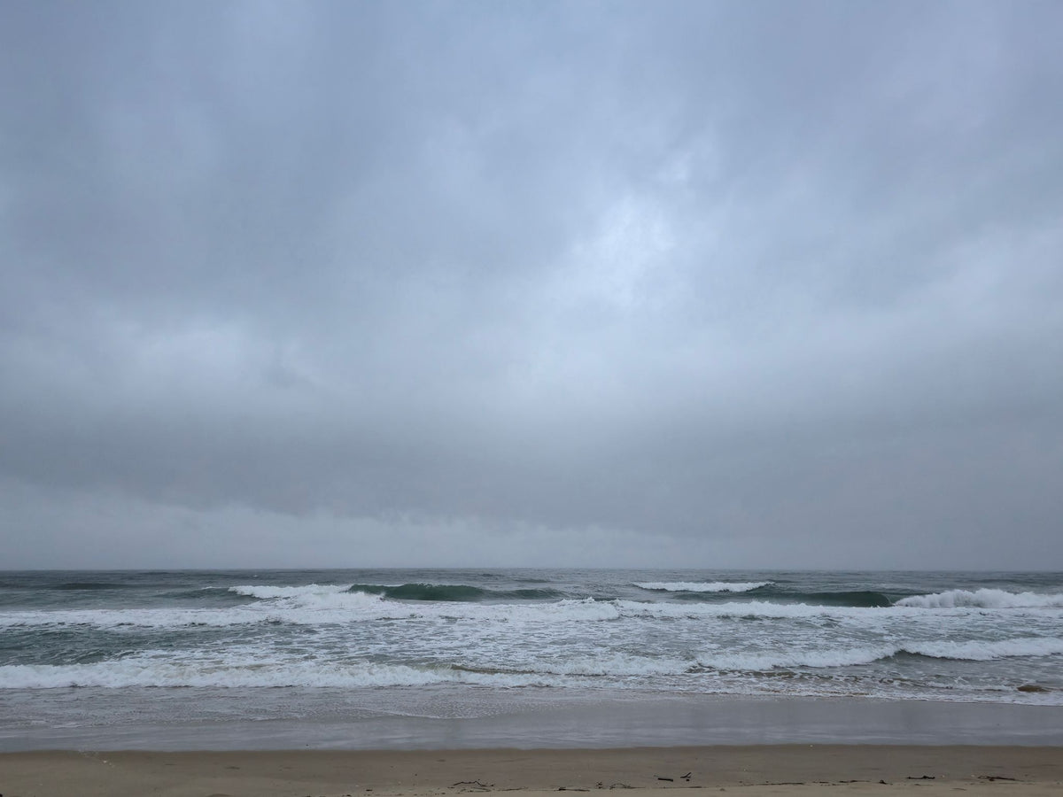 Mudjimba Beach, Sunshine Coast QLD — Day 181