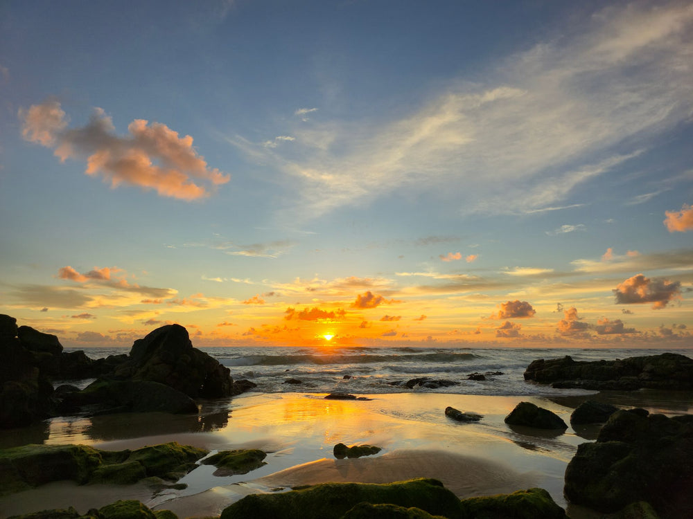 Point Arkwright, Sunshine Coast QLD