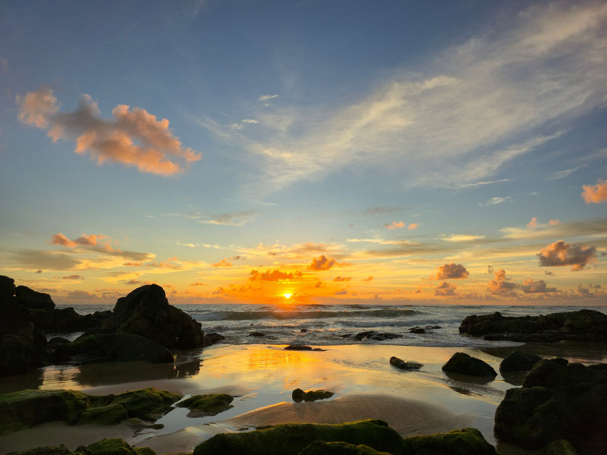 Point Arkwright, Sunshine Coast QLD