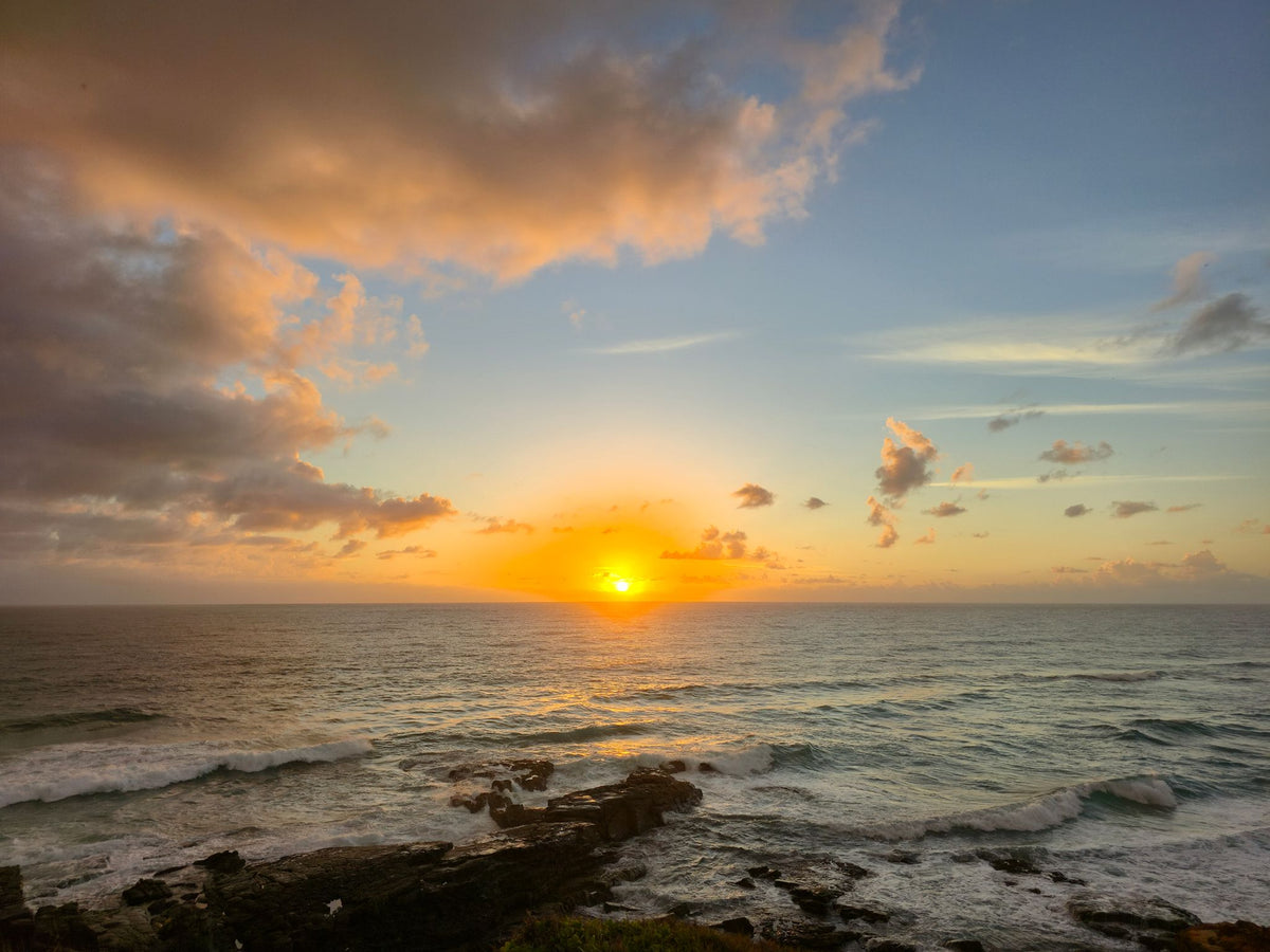 Point Arkwright, Sunshine Coast QLD — Day 188