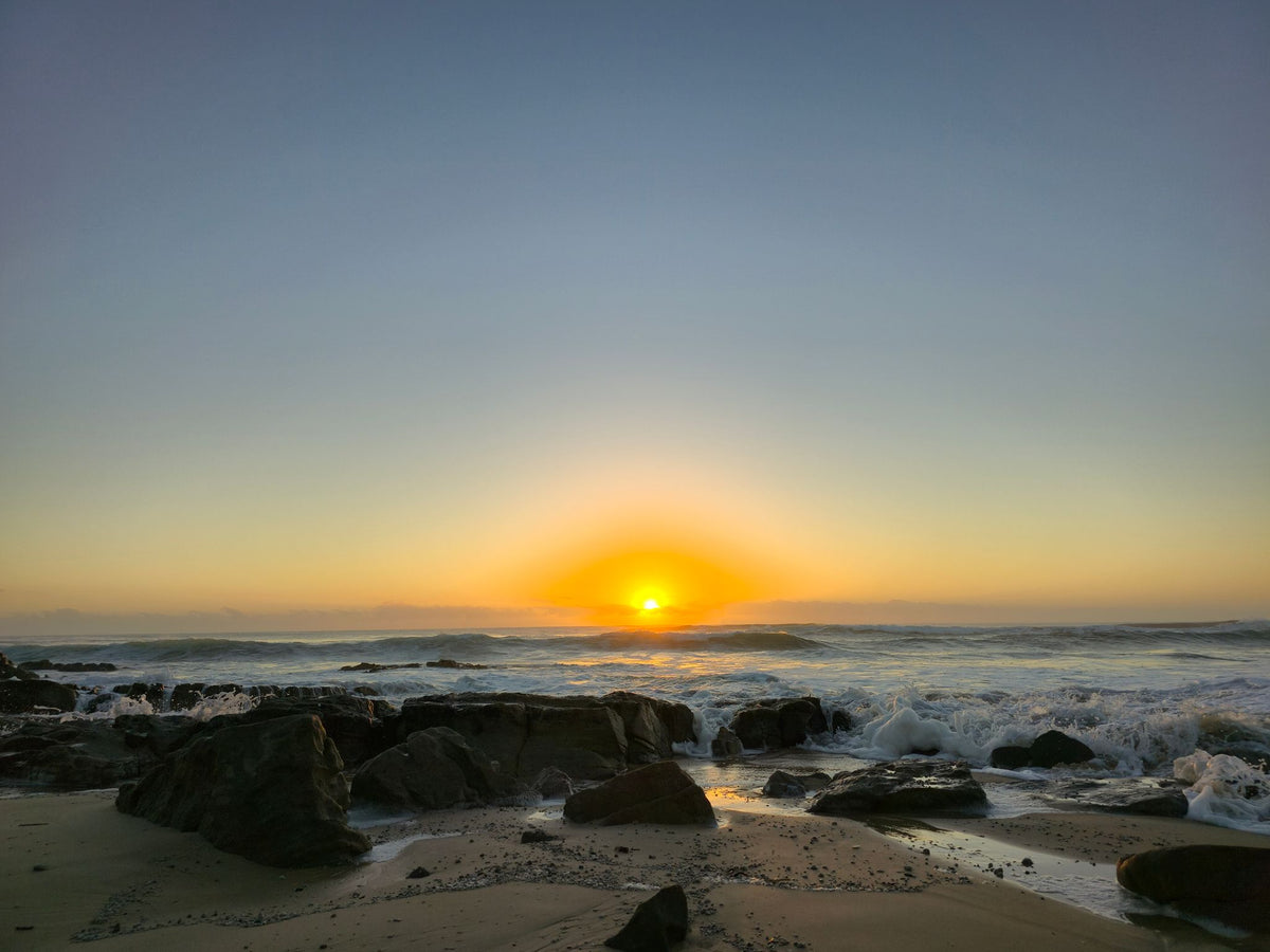 Point Arkwright, Sunshine Coast QLD — Day 205