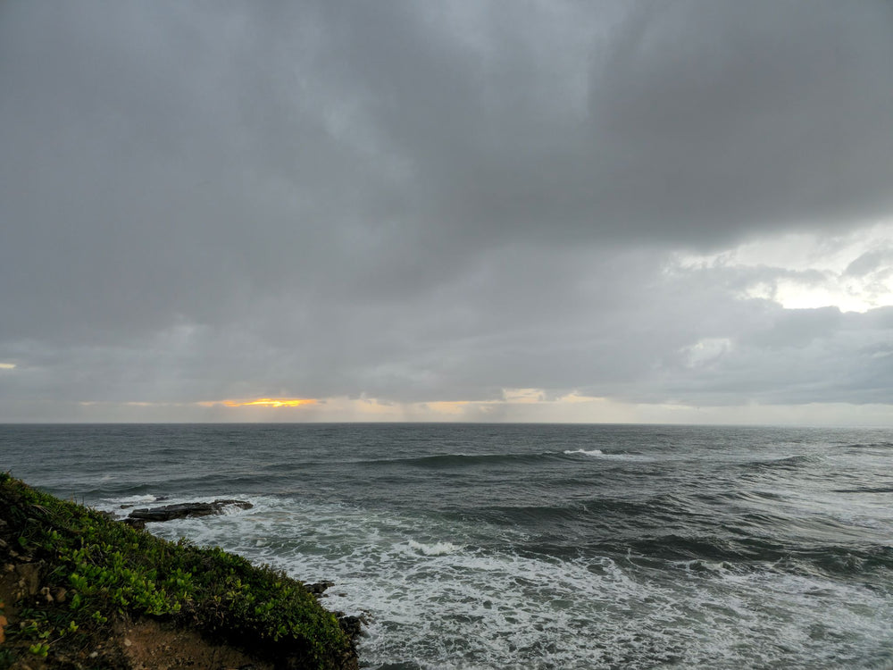 Point Arkwright, Sunshine Coast QLD