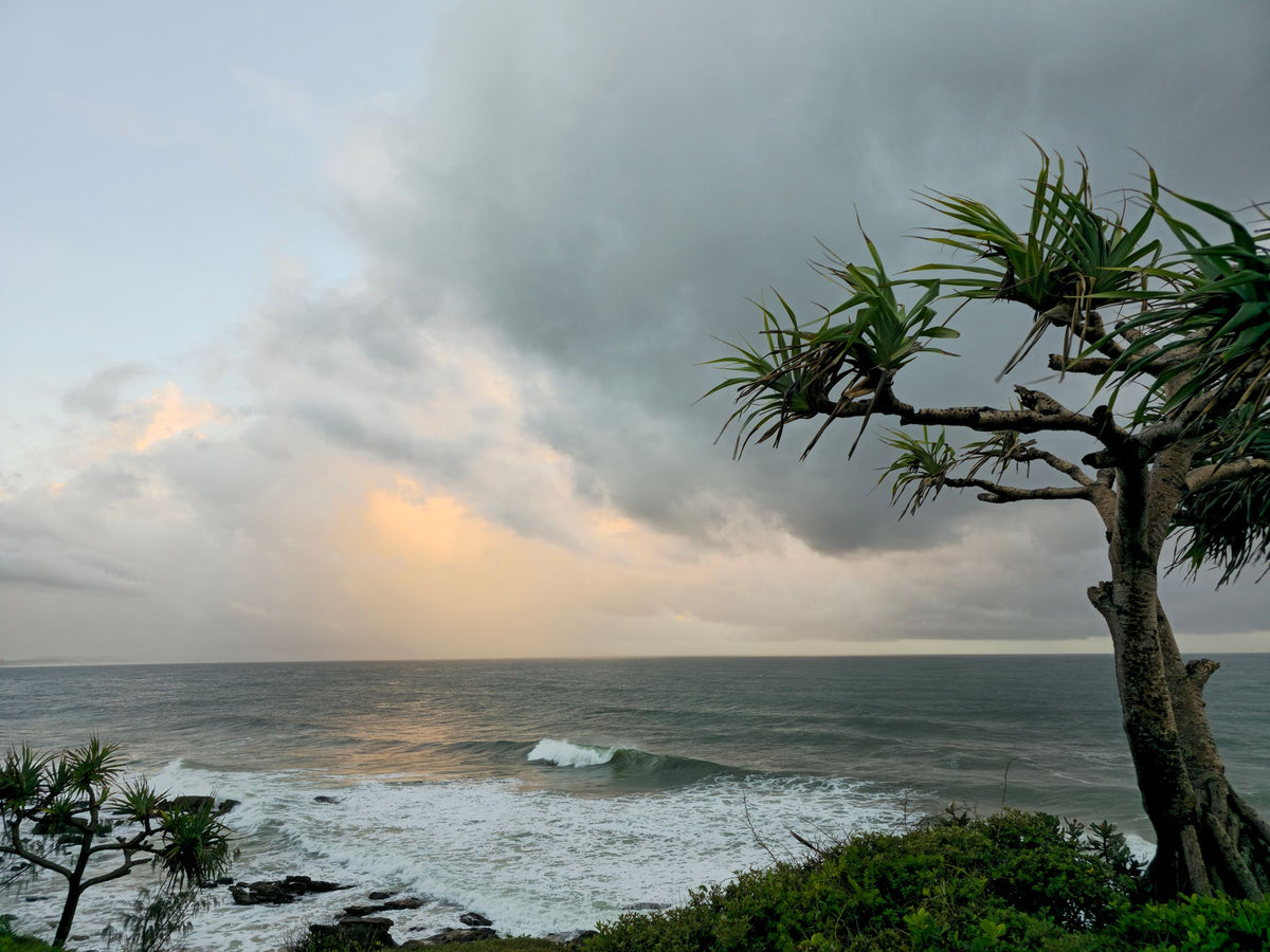 Point Arkwright, Sunshine Coast QLD — Day 217