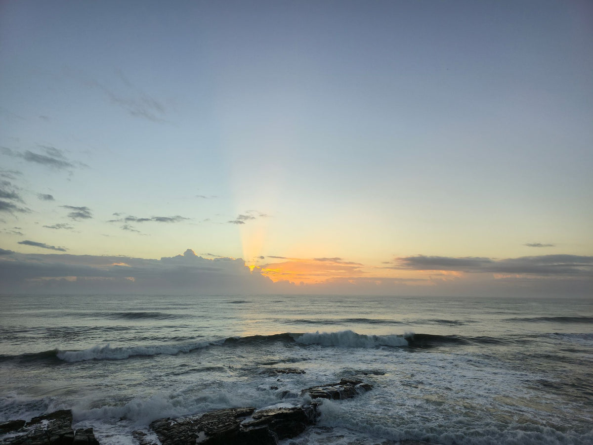 Point Arkwright, Sunshine Coast QLD — Day 219