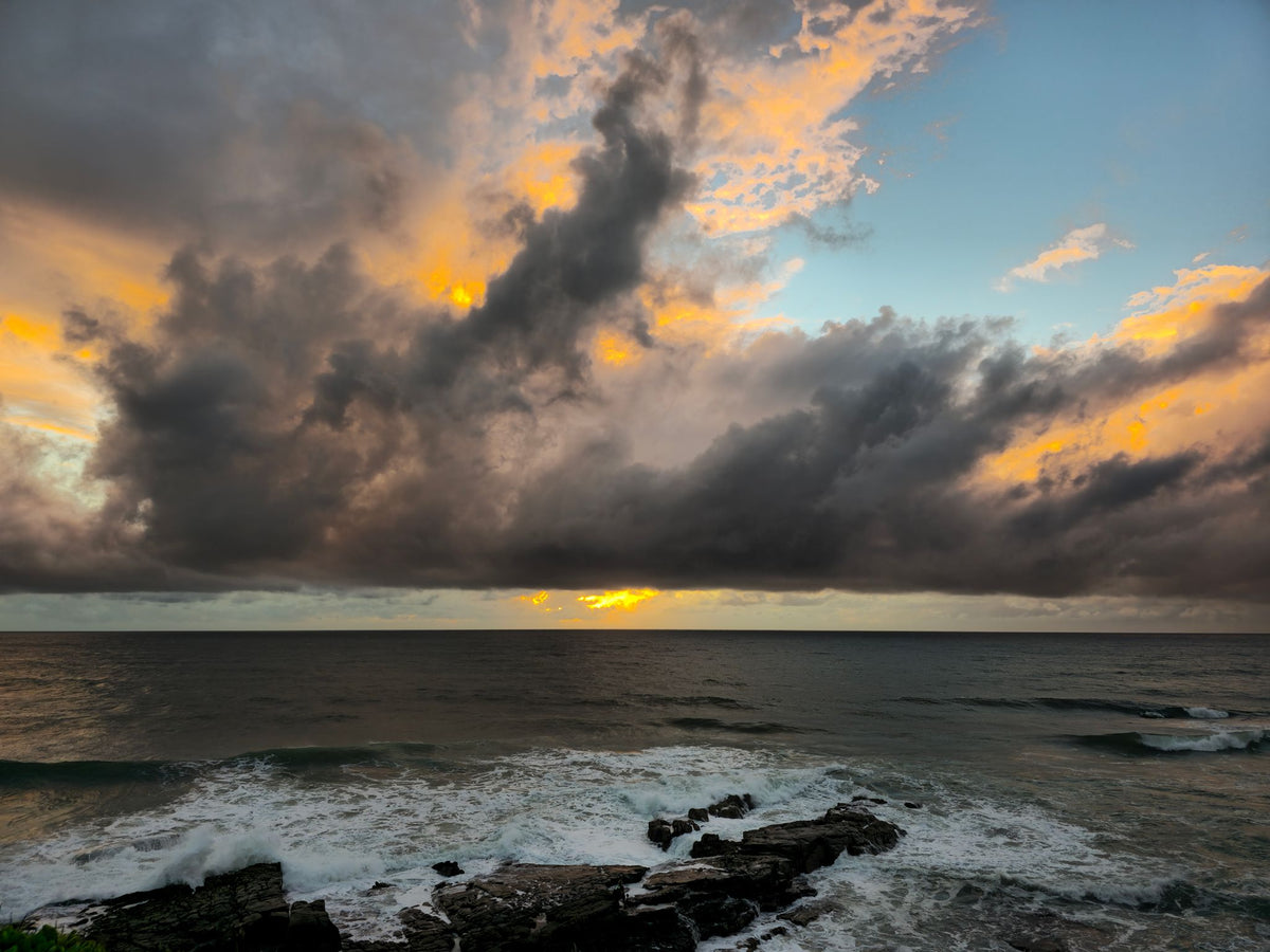 Point Arkwright, Sunshine Coast QLD — Day 229