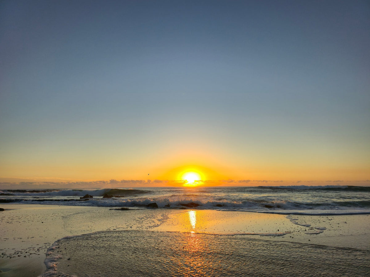 Point Arkwright, Sunshine Coast QLD — Day 240