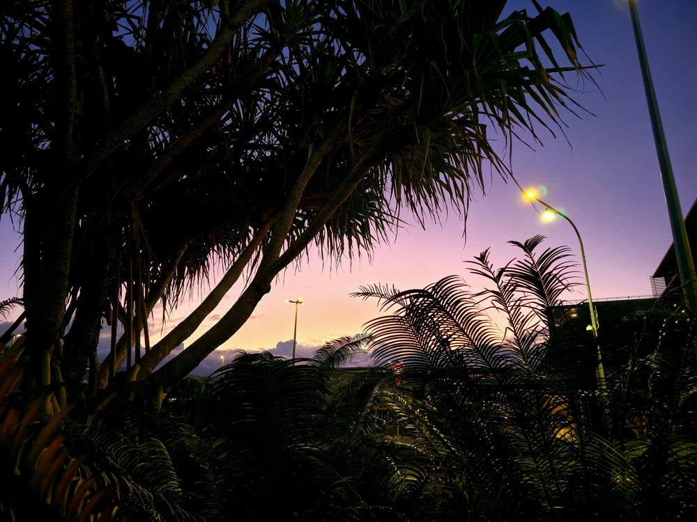 SCUH, Sunshine Coast QLD