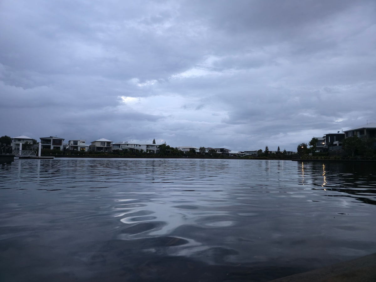 Birtinya Lake, Sunshine Coast QLD — Day 249