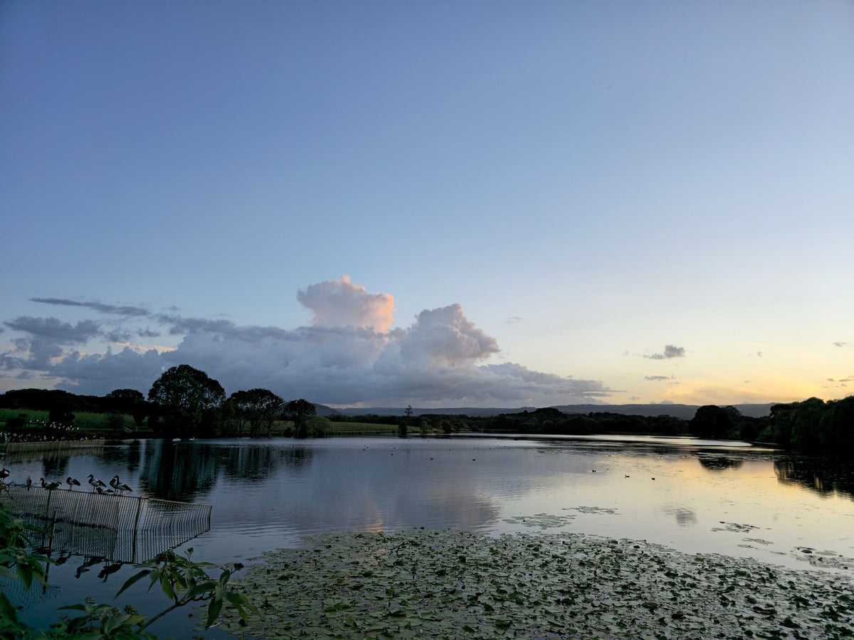 North Arm, Sunshine Coast QLD