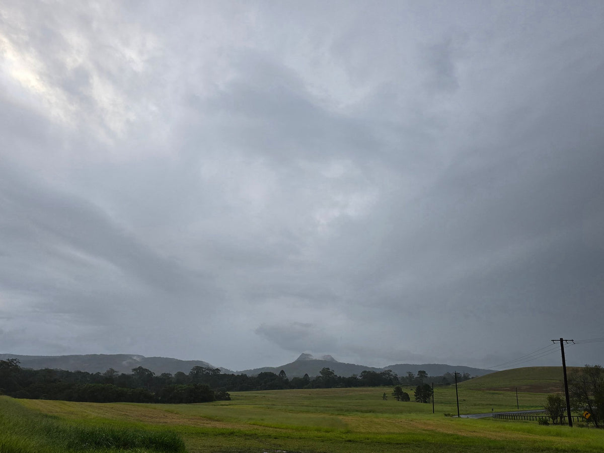 North Arm, Sunshine Coast QLD — Day 251