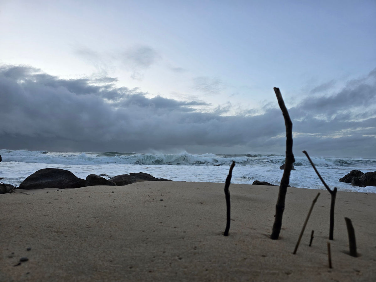 Point Arkwright, Sunshine Coast QLD