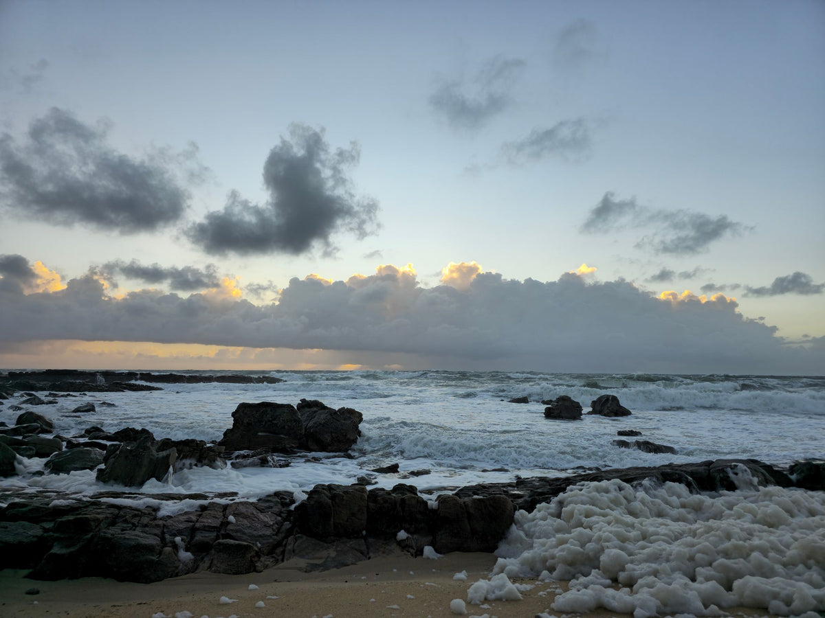 Point Arkwright, Sunshine Coast QLD — Day 256